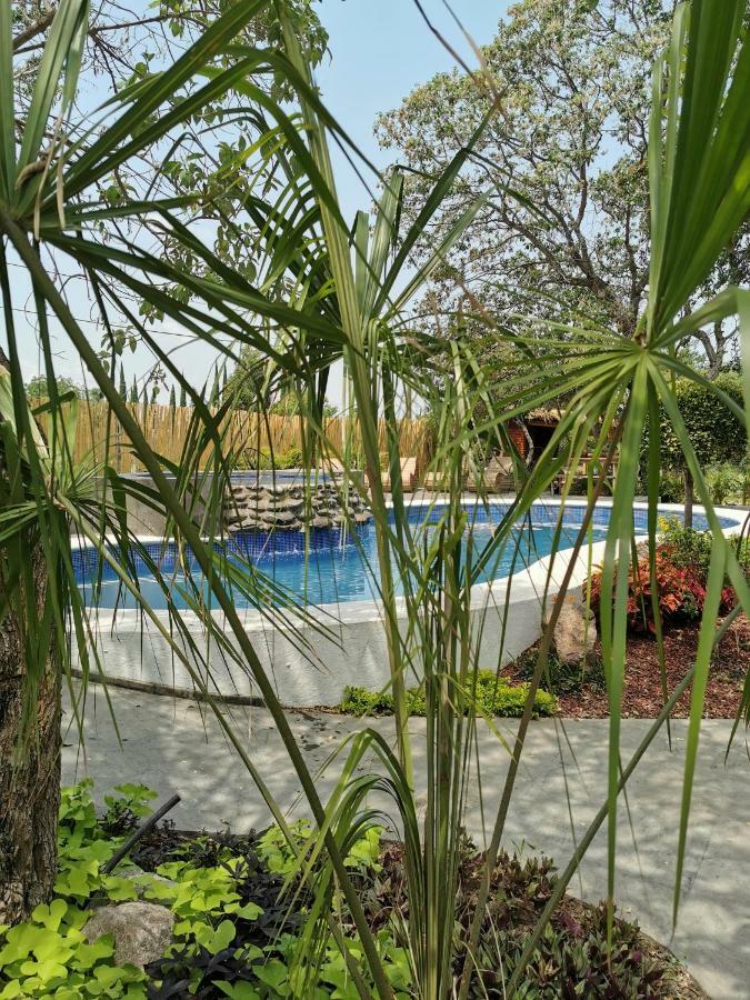 Armonia & 4* Jocotepec